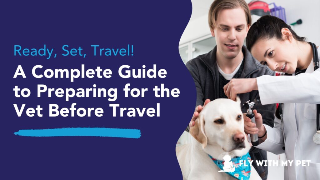 pet travel help