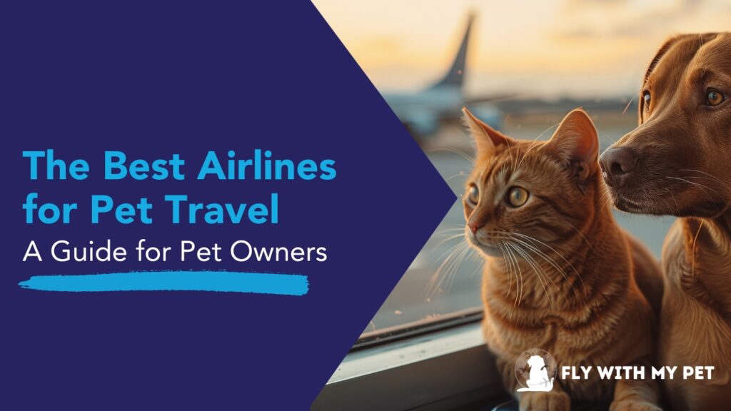 pet travel help